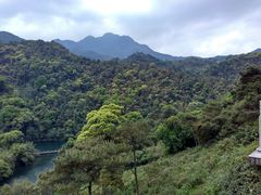 -鼎湖山风景区