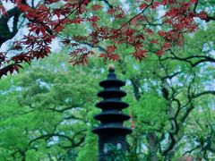 -普陀山风景名胜区-法雨禅寺