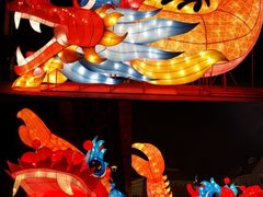 -美的鹭湖森林度假区