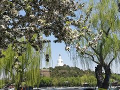 -北海公园-停车场