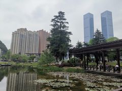 -花果园湿地公园
