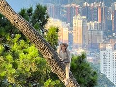 -黔灵山公园