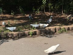 -沈阳植物园
