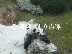 -无锡动物园·太湖欢乐园