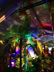 点击看大图 -恐龙探索乐园(磁器口店)