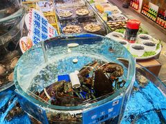 -乔家小院•非遗驴肉•本地小海鲜(滨河路店)