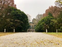 -灵谷景区