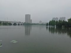 -飞来湖湿地公园