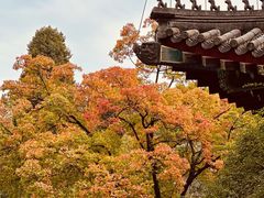 -香山公园