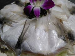 -马帮寨院坝火锅(龙港公园店)