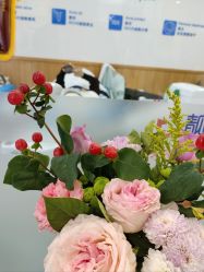 -靓芙泉专研痘痘肌