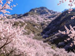 -北京凤凰岭