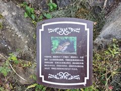 -灵溪风景区