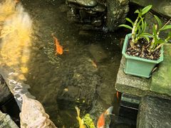 -31号公馆(黄兴广场白果园店)