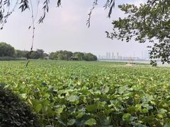 -云龙湖旅游景区