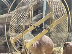 -绿色星球动物主题公园
