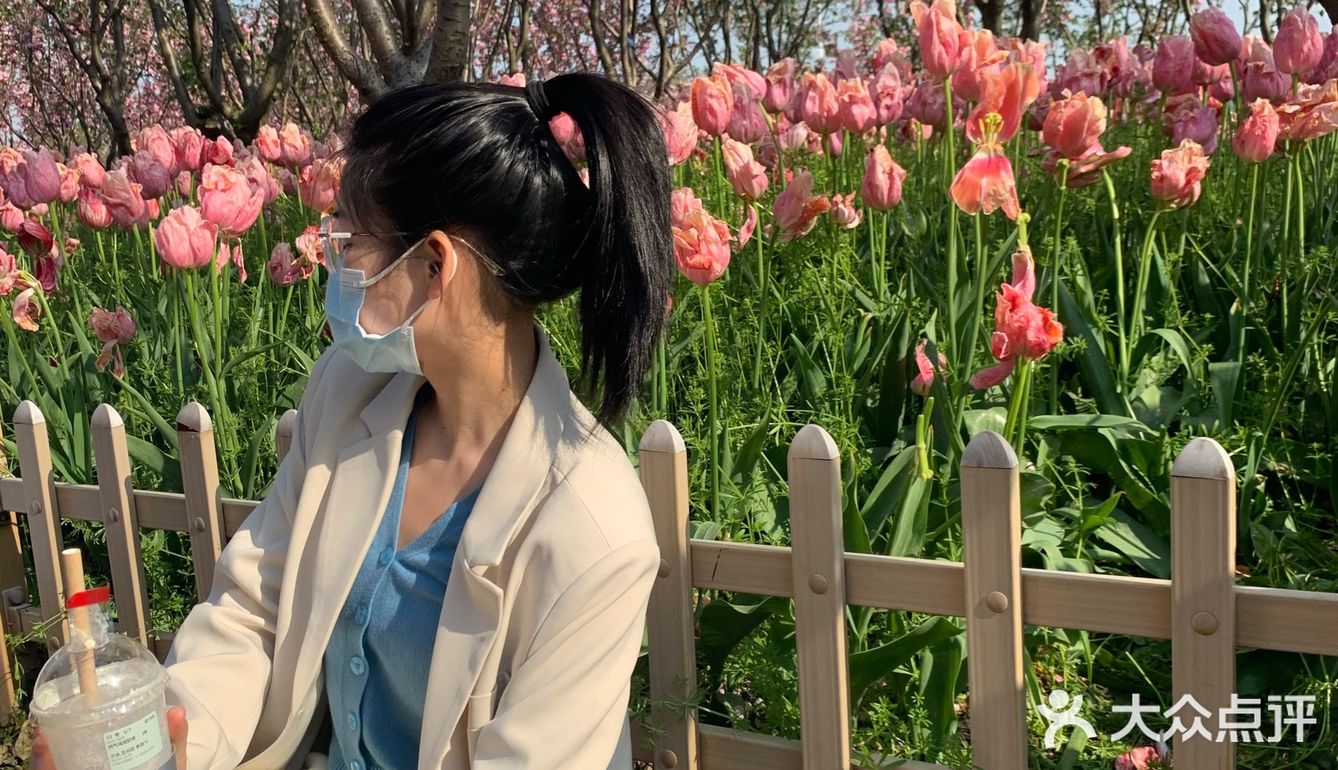 平湖探店｜我在中埭等你，樱花里等你
