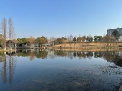 -洋湖国家湿地公园