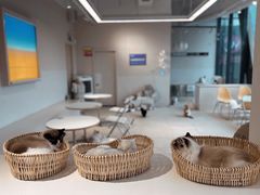 -怪兽屋·羊驼·猫咖·狗咖(俊华广场店)