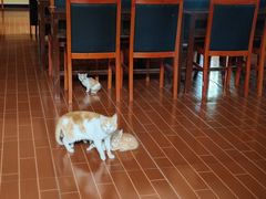 -湖南省立第一师范学校旧址