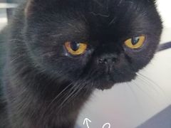 -极木²邸 人与宠物·互动社区