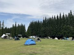 -黄海国家森林公园