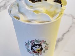 -Husky Go! 哈士奇体验馆·宠物咖啡厅狗咖