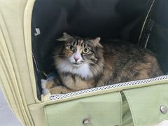 -拜鲁耶动物诊疗中心·宠家动物医院