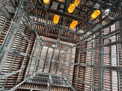 -龙津风雨桥