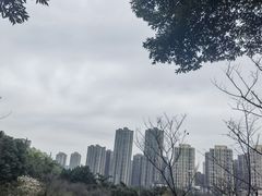 -龙头寺公园