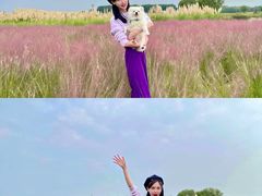 -汉长安城未央宫国家考古遗址公园