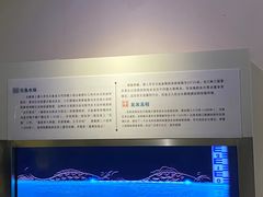 -白鹤梁水下博物馆
