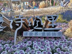 -诗经里