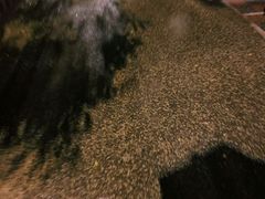 -鸟内会(河北路店)