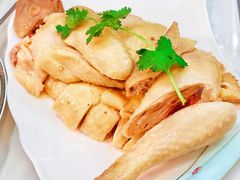 正宗龙门胡须鸡-喜聚薈·花膠雞海鮮火鍋(越秀店)