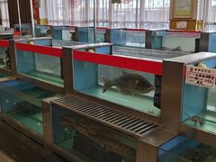-都来福海鲜大酒店(大东店)