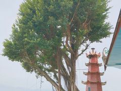 -仓山金山寺