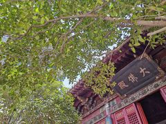-洛阳白马寺