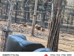 -秦皇岛野生动物园