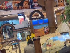 -卡通尼·Safari非洲探索乐园·生日会(金桥国际商业广场店)