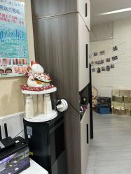 -摩瘦纤体订制减肥