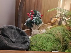 -糖糖屋•糖水•雪花冰店(时尚天河店)