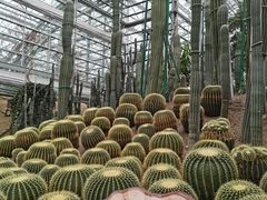 -南山植物园