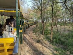 -南戴河国际娱乐中心