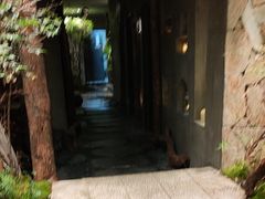 -森SPA·泰式按摩·精油Massage(宝安中心店)