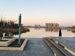 -天津金海湖