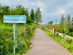 -恋山坝上草原