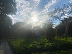-白鹭洲公园