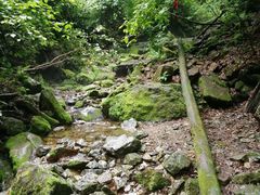-本溪汤沟绿石谷森林公园