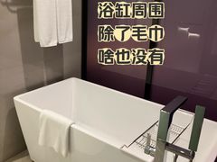 -南京禄口机场雅高铂尔曼大酒店